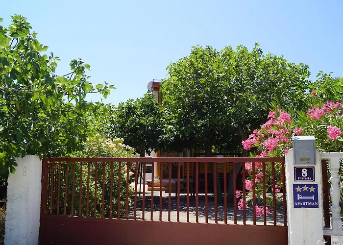 - Beautiful Beaches In Dalmatia